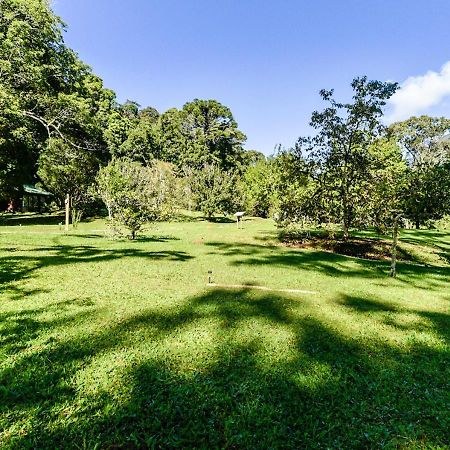 Отель Refugio Ecologico Amadamata Нова-Фрибургу Экстерьер фото